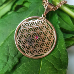 kullast ripats elulill