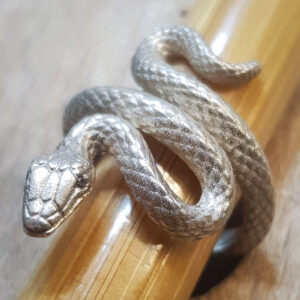 hõbesõrmus naistele ussiga