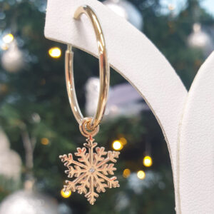 Lumehelvestega-kuldkorvarongad-rongad_