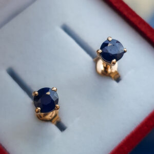 Kuldkõrvarõngad Whutney