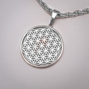 Hõbeehted, hõberipats