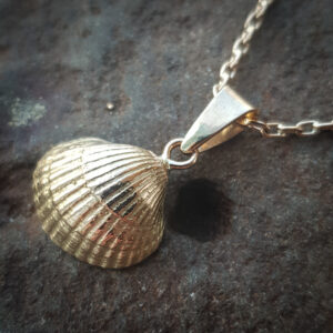 Kullast-ripats-Merikarp